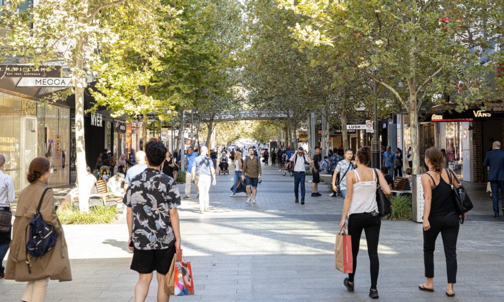 'We're gearing up': scam fighters on Black Friday alert