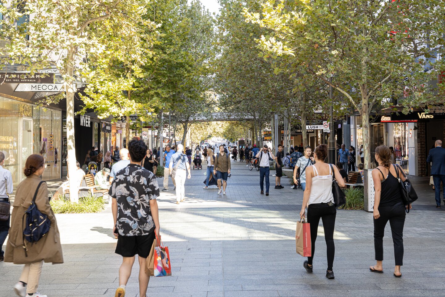 'We're gearing up': scam fighters on Black Friday alert