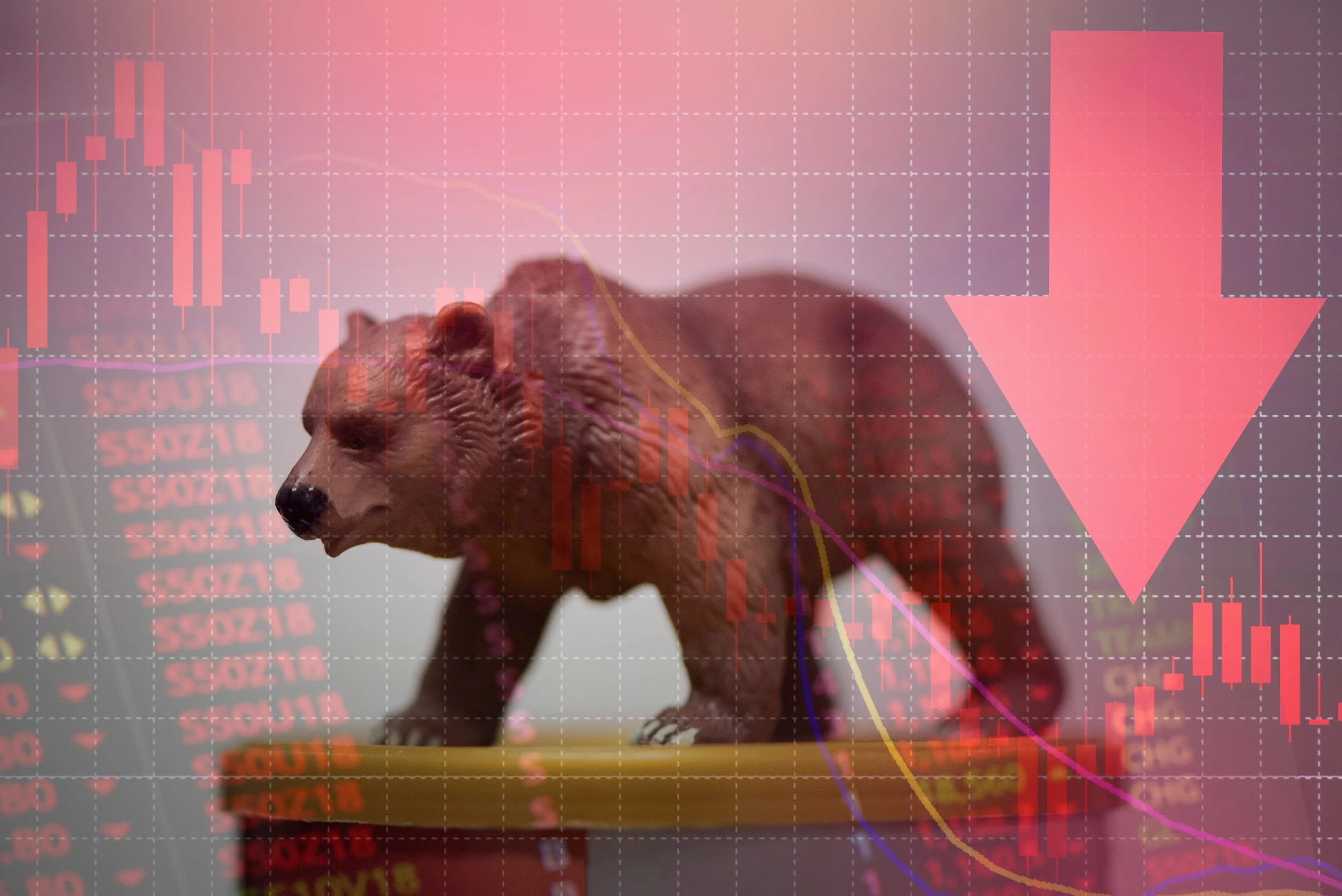 AI Predicts Bitcoin Bear Market, Names Digitap ($TAP) as the Top Altcoin Pick