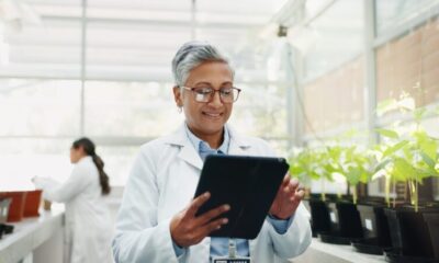 Artificial intelligence is emerging as a key driver of growth in the UK’s climate tech start-up ecosystem, with AI-related ventures attracting record levels of funding even as broader climate investment stalls, according to new research by Sustainable Ventures.