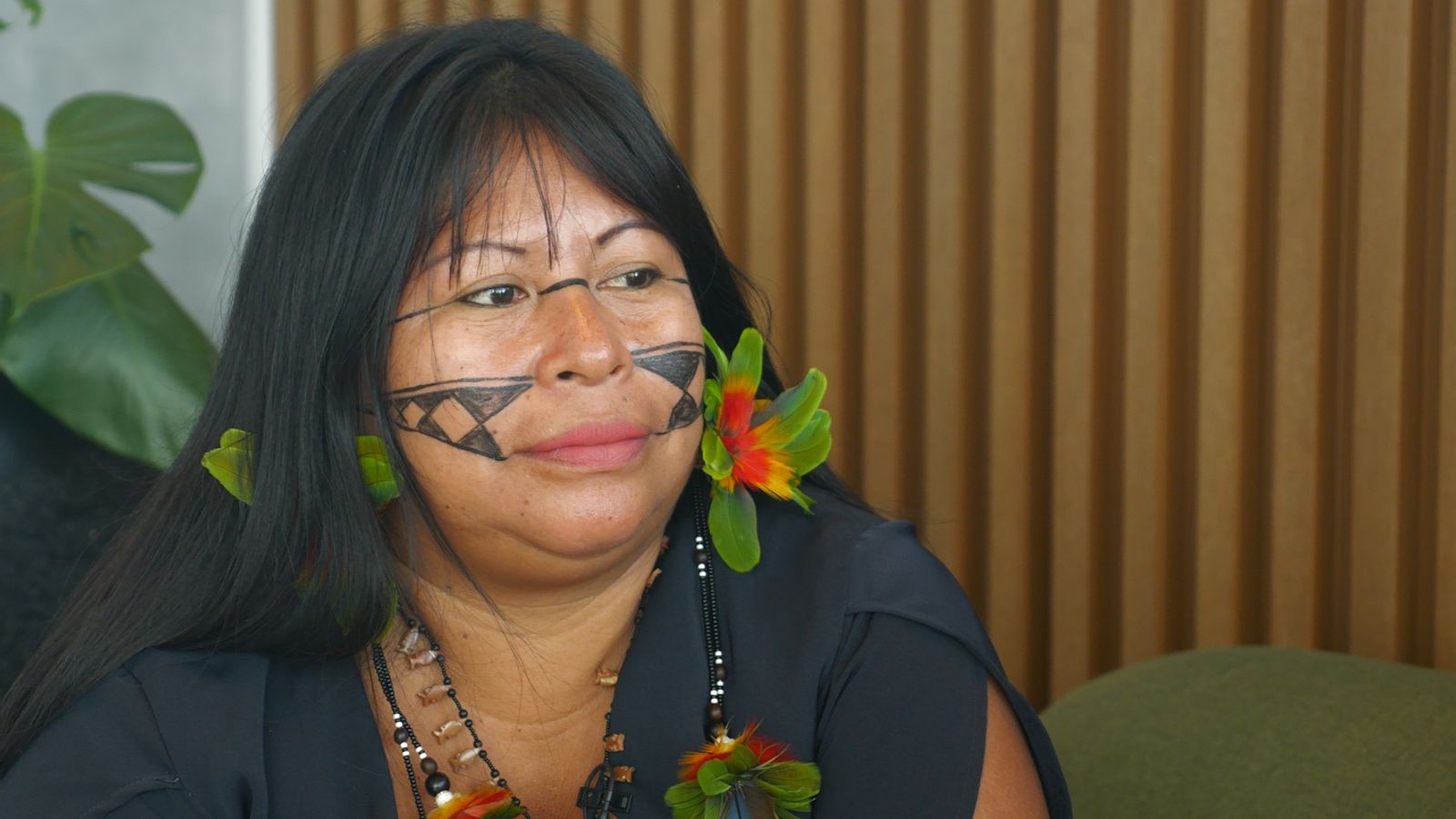 Alessandra Korap says mercury is damaging Munduruku women's fertility