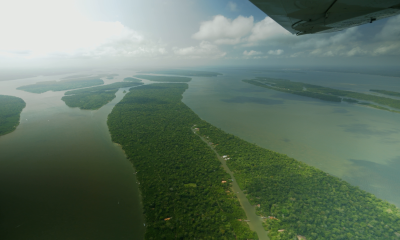 Lush rainforest and waterways in the Brazilian Amazon