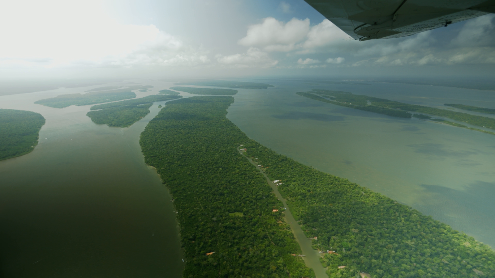 Lush rainforest and waterways in the Brazilian Amazon