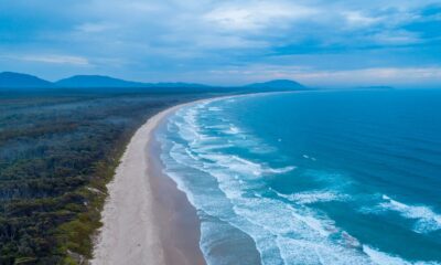 Woman killed and man injured in shark attack in New South Wales, Australia | World News