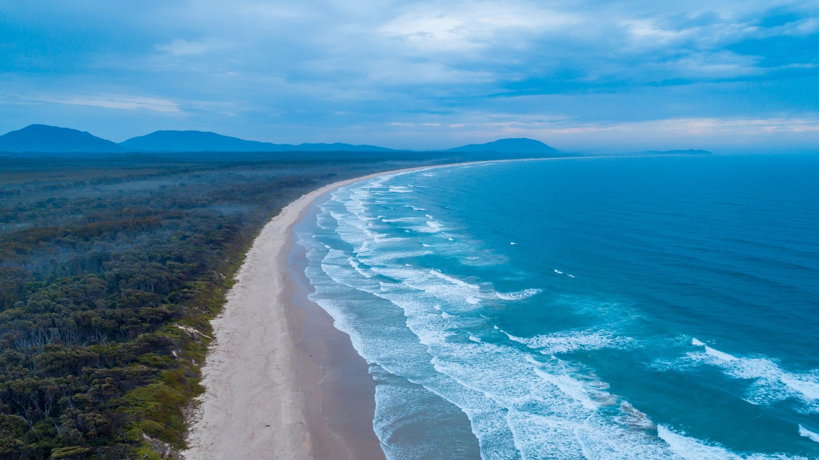 Woman killed and man injured in shark attack in New South Wales, Australia | World News
