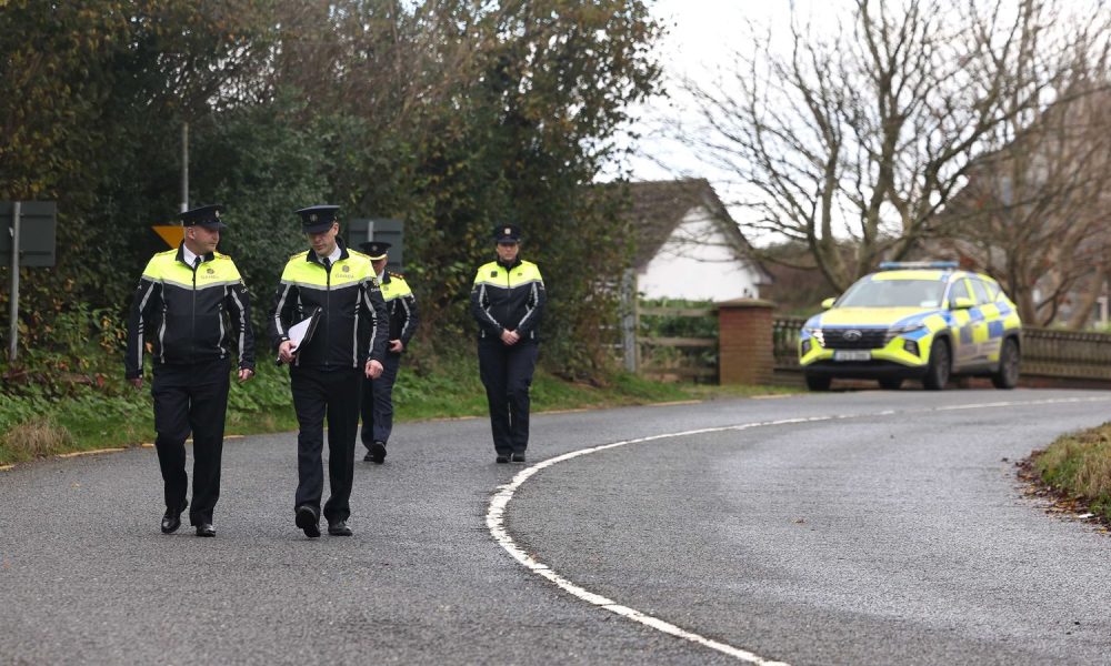 Three men and two women in their 20s have died in car crash in Co Louth, Irish police say | World News