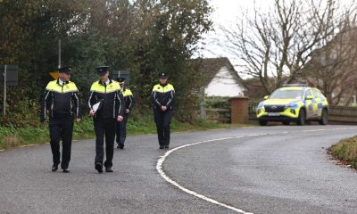 Three men and two women in their 20s have died in car crash in Co Louth, Irish police say | World News