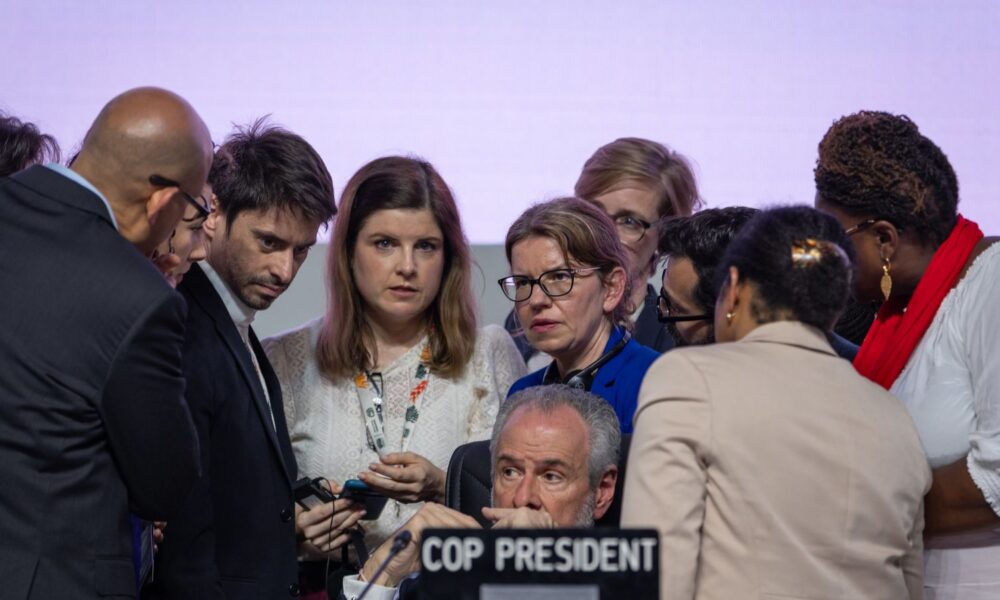 Pic: UN Climate Change/Kiara Worth