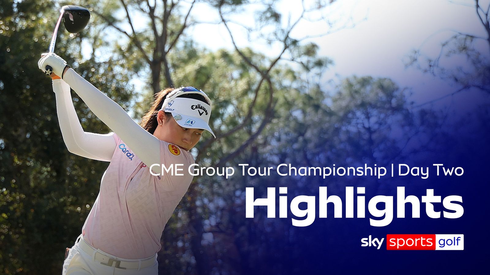 Watch highlights from the second day of the CME Group Tour Championship on the LPGA Tour.