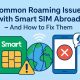 smart sim abroad