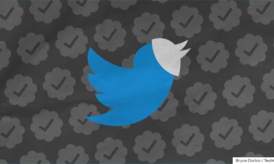twitter bird with mask, background of verified check marks