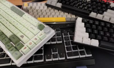 Everything you need to know