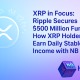 XRP in Focus