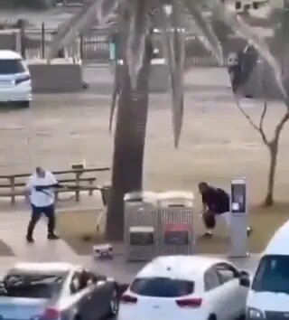 Incredible moment brave bystander tackles Bondi Beach gunman after mass shooting