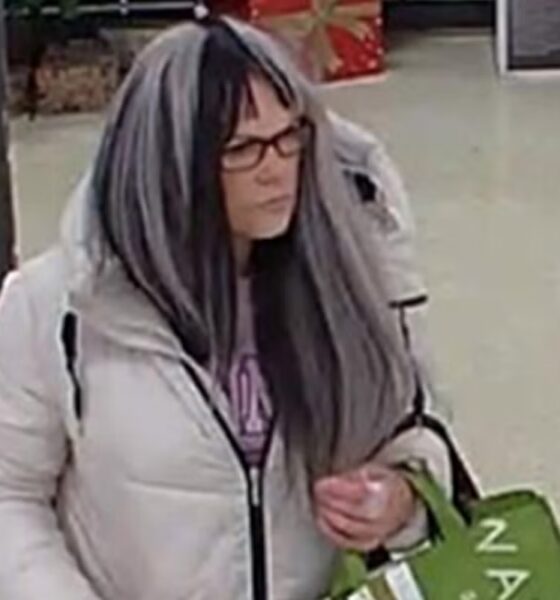 Woman banned from wearing wigs in shops after crime spree