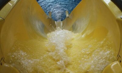 Ripple-linked token may be crashing