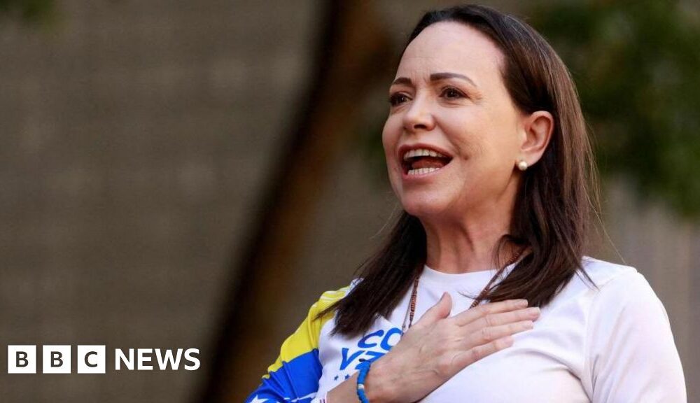 Nobel Peace Prize winner's daughter accepts award on her behalf