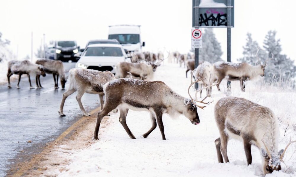 Manchester Evening News