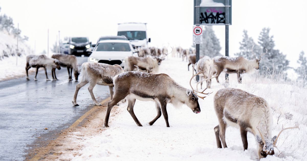 Manchester Evening News