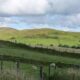 Developers behind major wind farm project near Bala launch public consultation