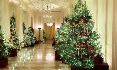 See inside Christmas at the White House as decorations go up
