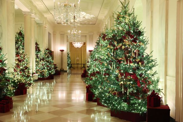 See inside Christmas at the White House as decorations go up