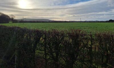 Latest on plan for 300 homes on Swindon green field site