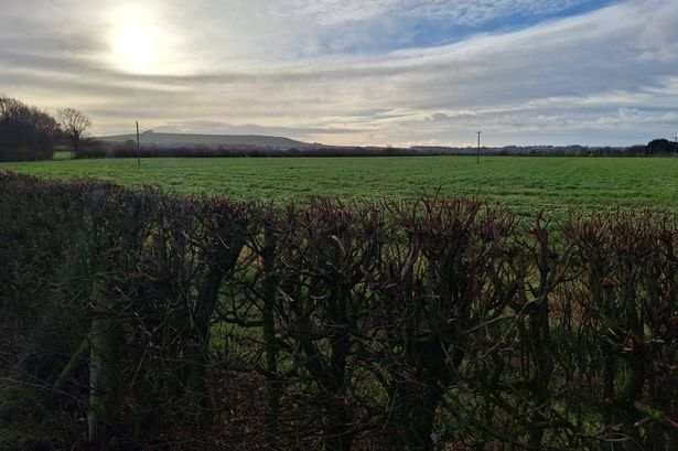 Latest on plan for 300 homes on Swindon green field site