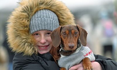 Hundreds of sausage dogs descend on a Welsh beach