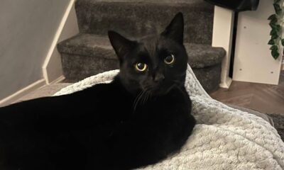 Manchester Evening News