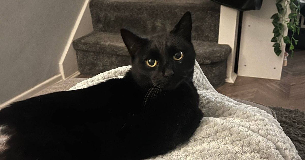 Manchester Evening News