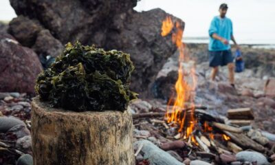 AD FEATURE: Brewed with the culture of Pembrokeshire at the heart of it