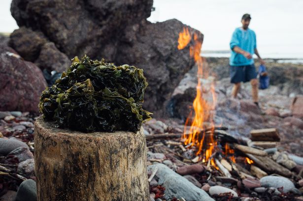 AD FEATURE: Brewed with the culture of Pembrokeshire at the heart of it