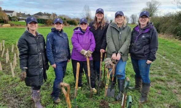 Wave hails revenue growth as public sector work drives success