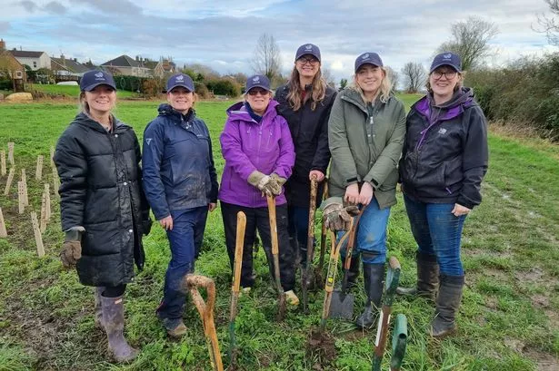 Wave hails revenue growth as public sector work drives success