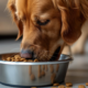 Never face an empty pet food cupboard again with smart repeat deliveries