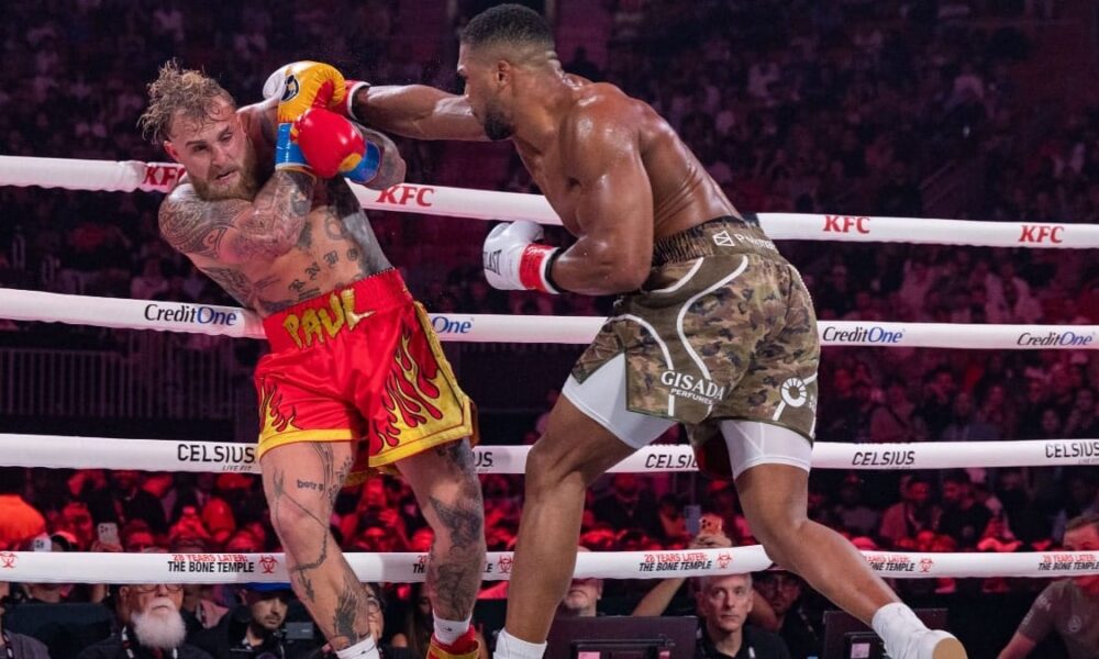 Who won, fight result, highlights