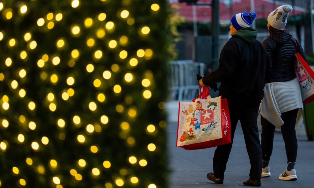 Strong holiday sales defy weak consumer sentiment