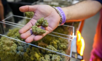 What it means for seniors, research, stocks