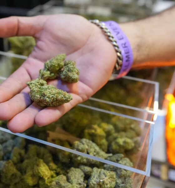 What it means for seniors, research, stocks