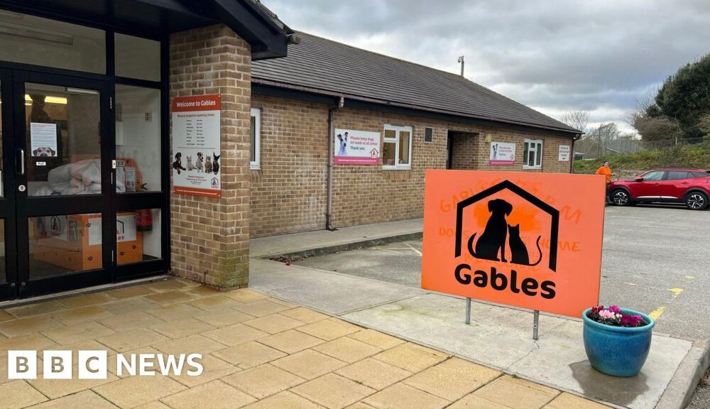 Decline in adoption rates at Devon animal rescue group