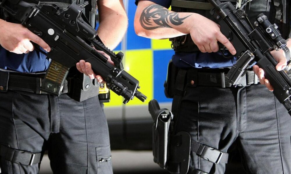 Armed police shoot dog after attack in Bellhouse Way area