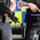 Armed police shoot dog after attack in Bellhouse Way area