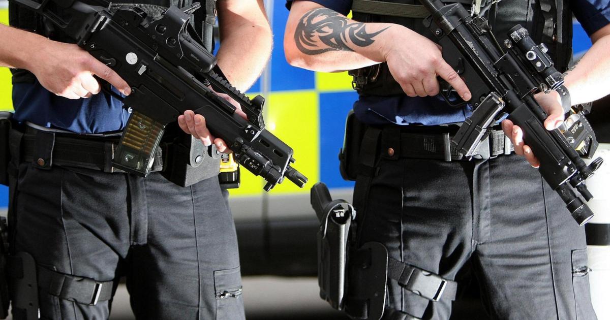 Armed police shoot dog after attack in Bellhouse Way area