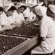 York Castle Museum shares memories of confectionery workers