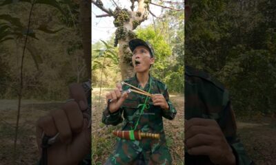 #entertainment #birdsounds #shorts