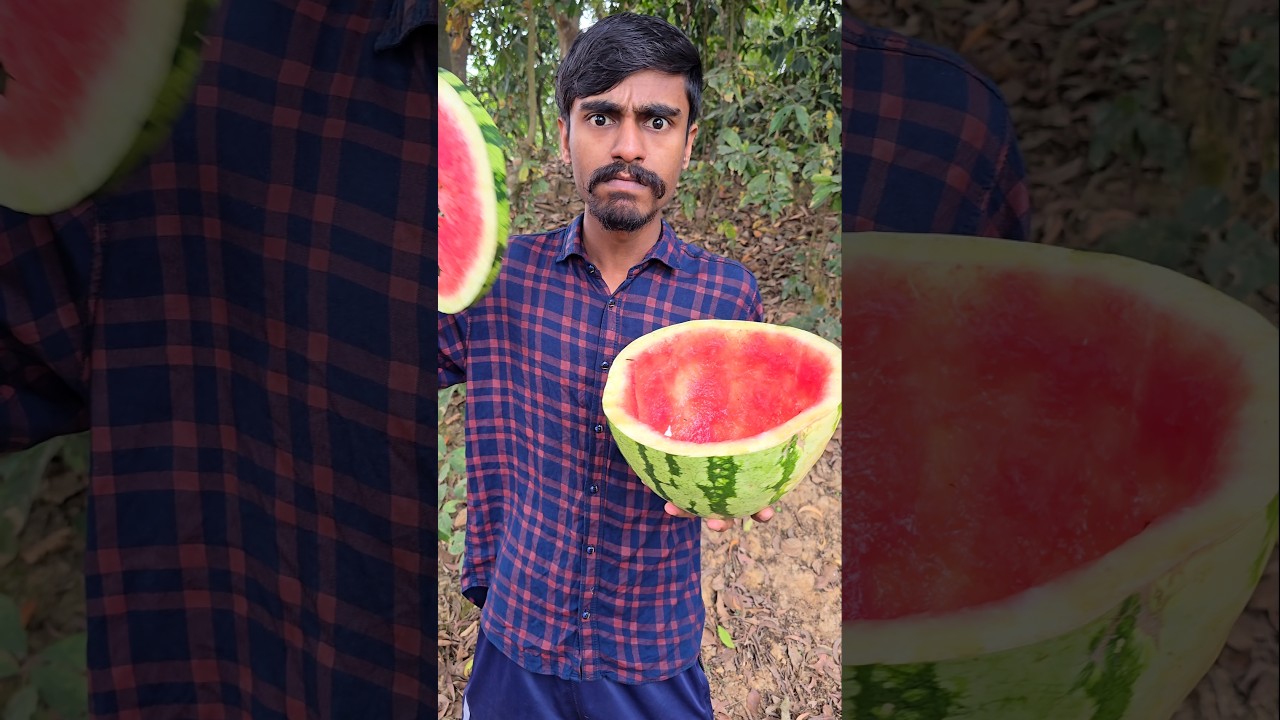 Making the Bros Laugh While Feeding Them! 😂