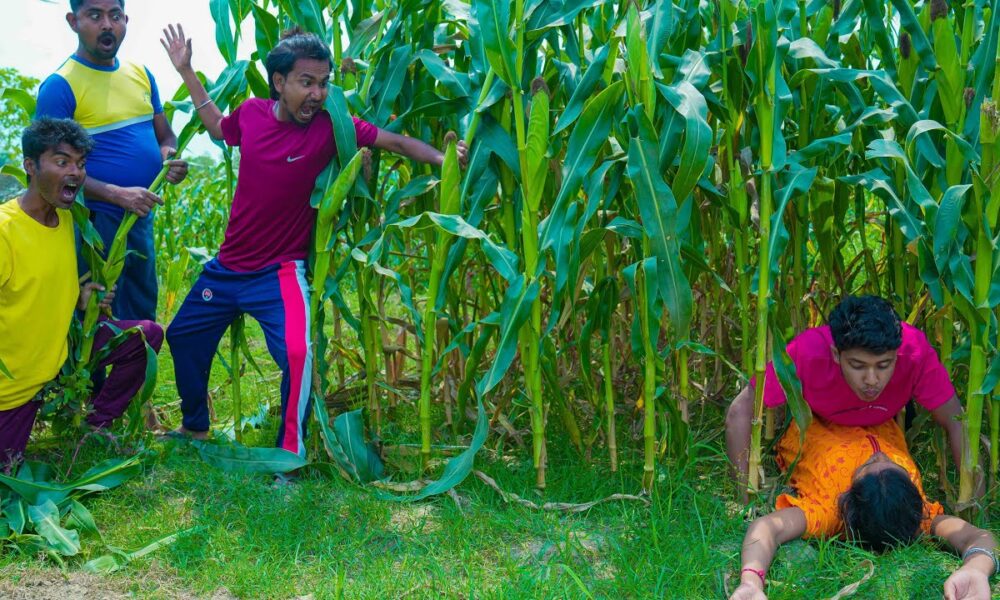 Funniest Fun Amazing videos must Entertainment comedy 2025🤣Try To Not Laugh Episode 246 By Fun Tv 24