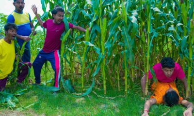 Funniest Fun Amazing videos must Entertainment comedy 2025🤣Try To Not Laugh Episode 246 By Fun Tv 24