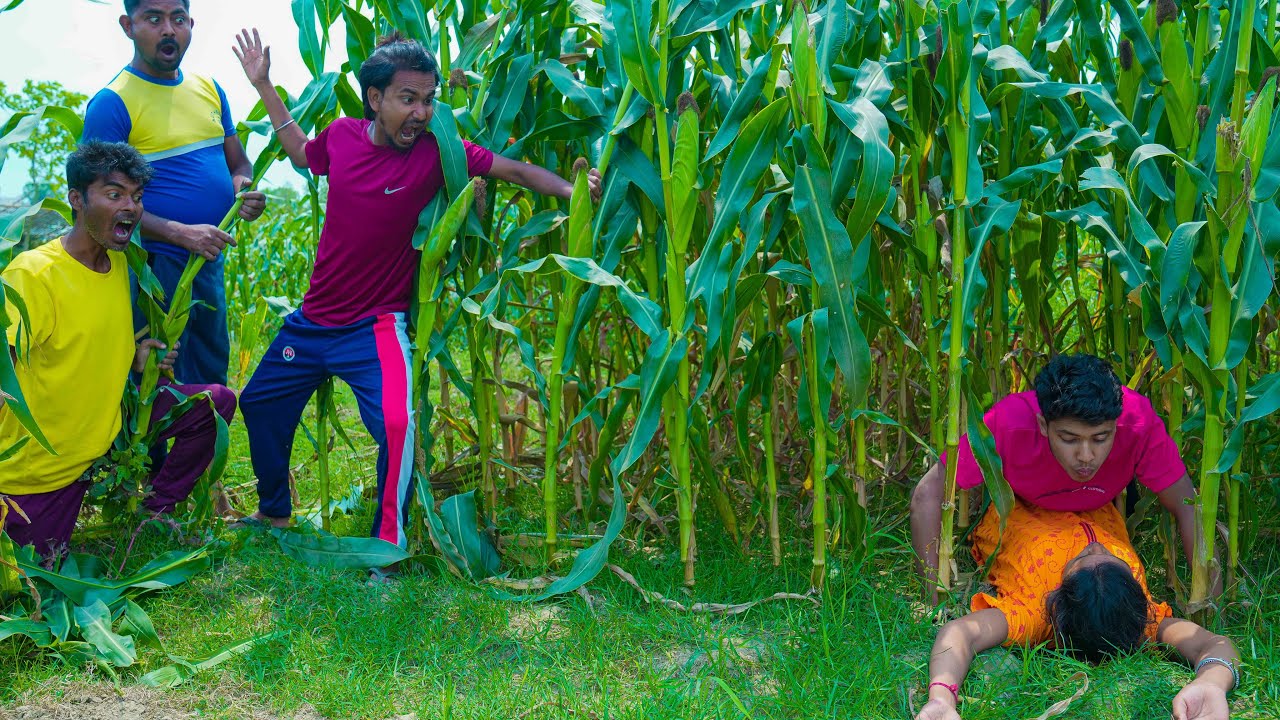 Funniest Fun Amazing videos must Entertainment comedy 2025🤣Try To Not Laugh Episode 246 By Fun Tv 24